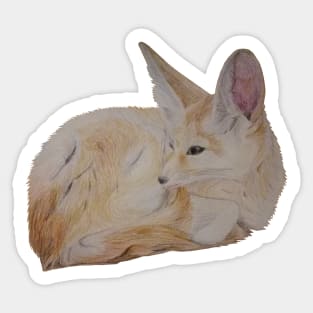 Fennec fox Sticker
